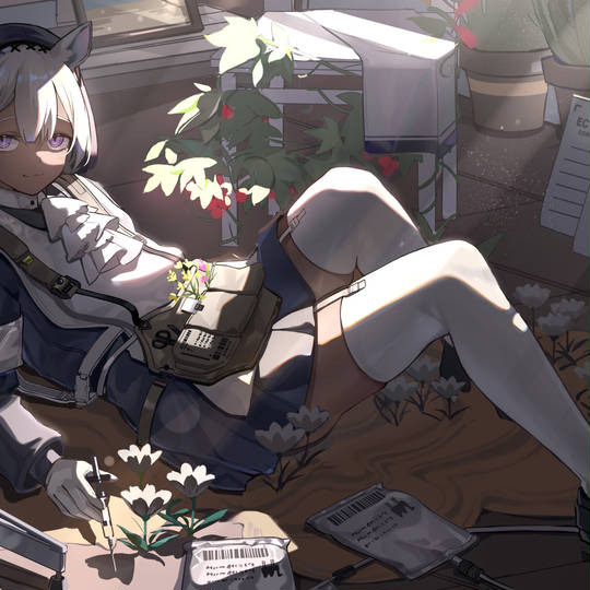 明日方舟, 图耶图片